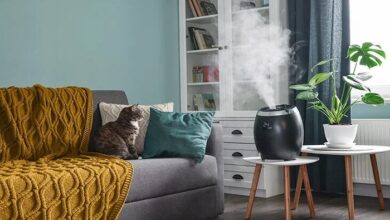A Comprehensive Guide to Buying Dehumidifiers