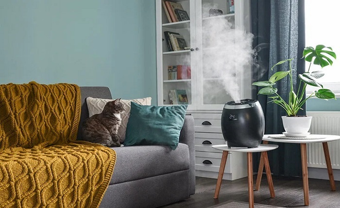 A Comprehensive Guide to Buying Dehumidifiers