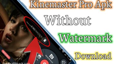 KineMaster Without Watermark APK