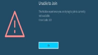 Error Code 103 in Roblox